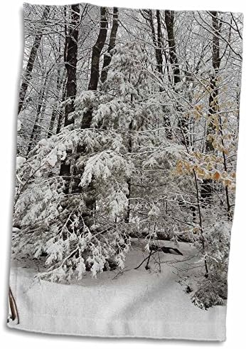 Кърпи 3dRose за красива зимни условия в снежна буря (twl-284897-3)