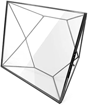 Стъклена плаващ рамка MHM за пресовани цветя - Фоторамка геометрична форма, размер 8x10 мм - Модерна Подвесная или Настолна Двойна