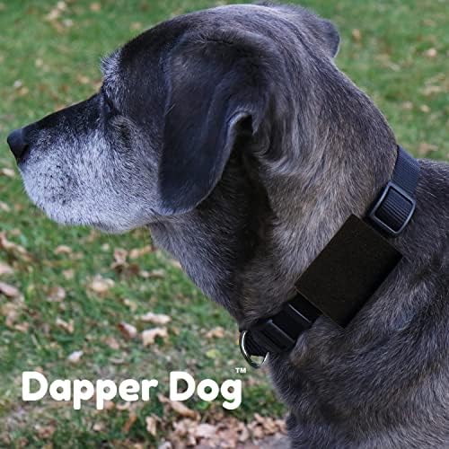 Шалче за тагове за домашни любимци Dapper Dog и притежателя AirTag (Черен)
